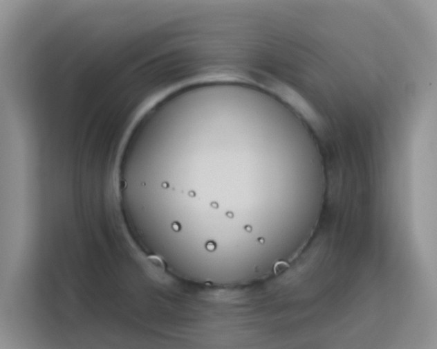 X0000113741380200910071037