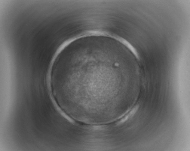 X0000113741381200910071037