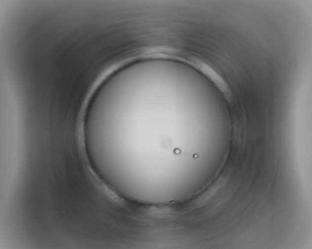 X0000113741384200910071037