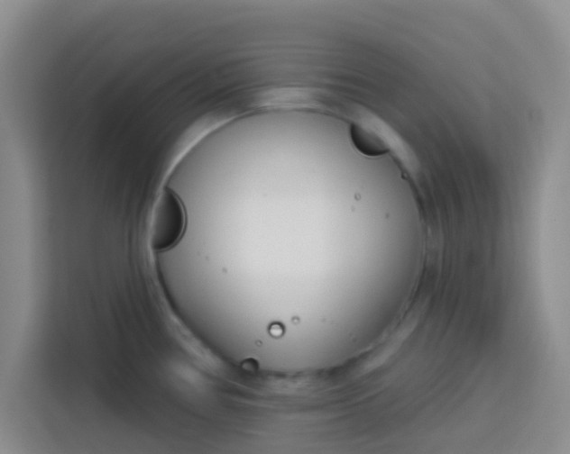 X0000113741386200910071037