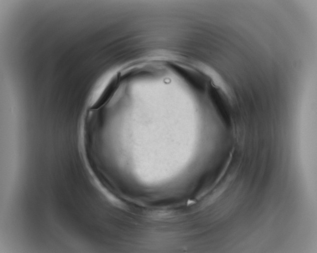 X0000113741387200910071037