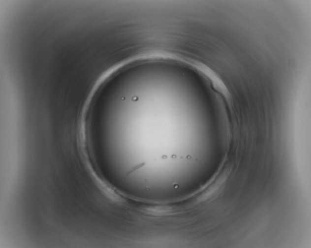 X0000113741388200910071037