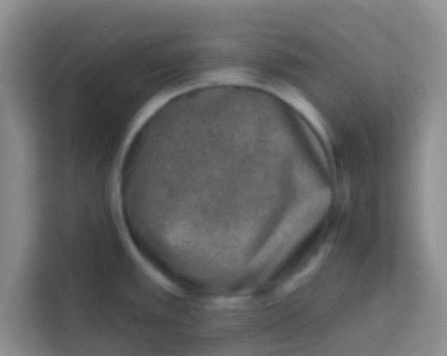 X0000113741389200910071037