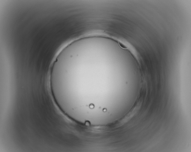 X0000113741390200910071037