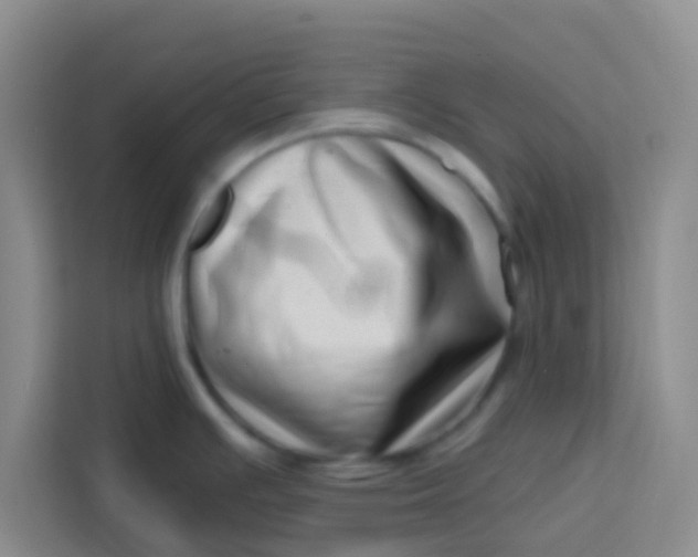 X0000113741391200910071037