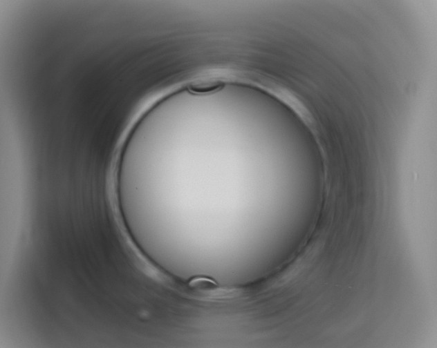 X0000113741392200910071037