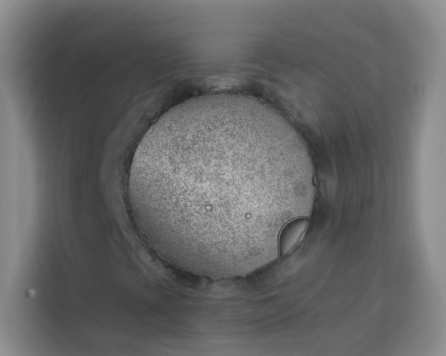 X0000113741393200910071036