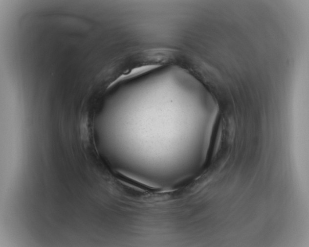 X0000113741394200910071036