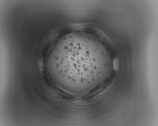 X0000113741395200910071036