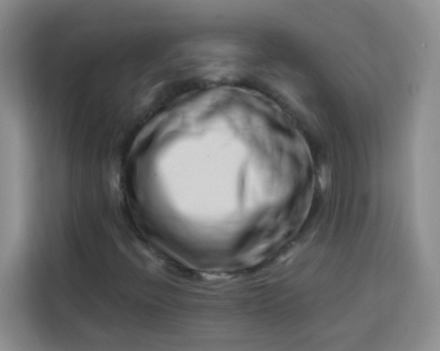 X0000113741396200910071036