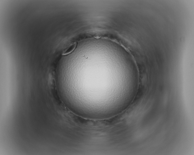 X0000113741397200910071036