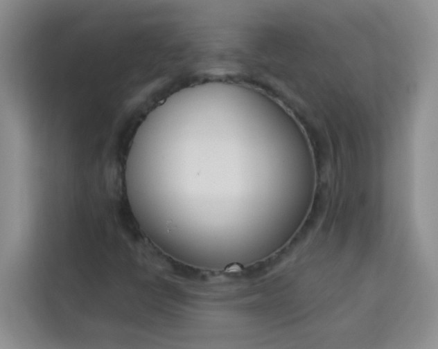 X0000113741398200910071037