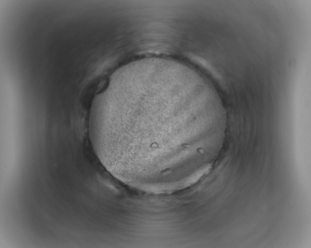 X0000113741399200910071037