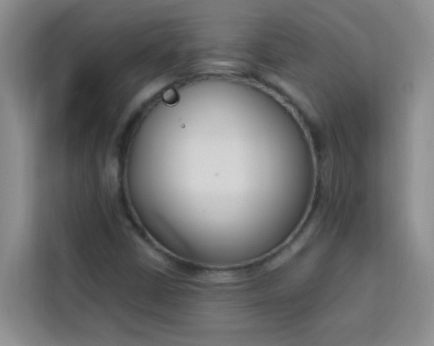 X0000113741402200910071037