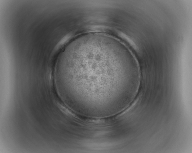 X0000113741403200910071037