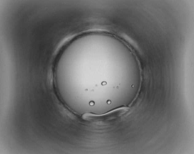 X0000113741408200910071037