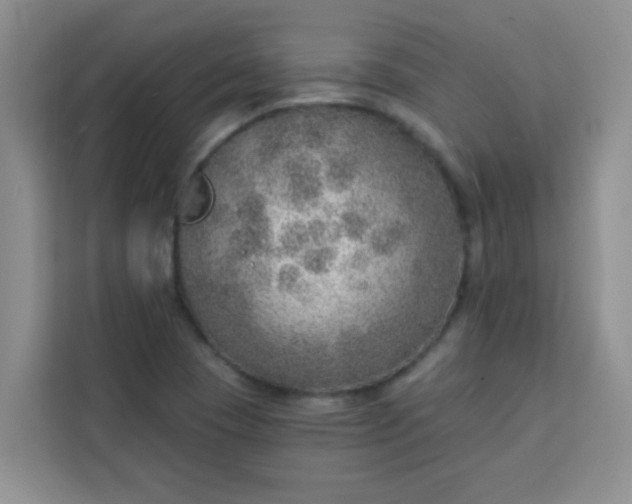 X0000113741409200910071037