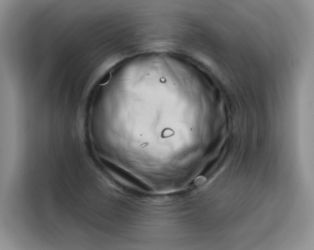 X0000113741410200910071037