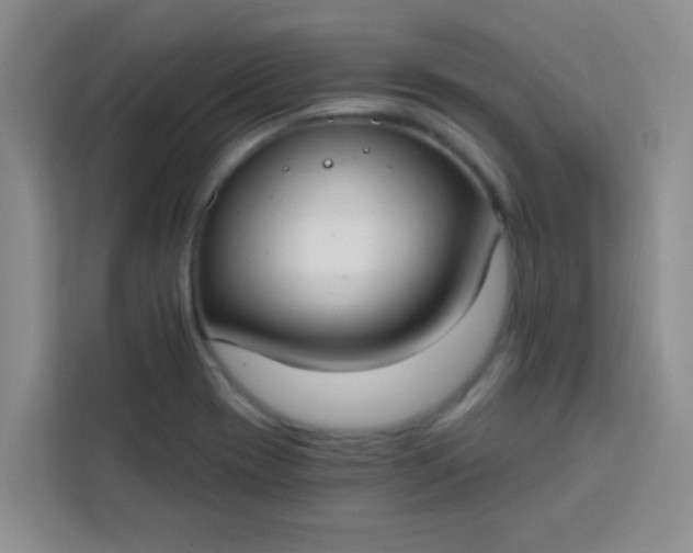 X0000113741417200910071037