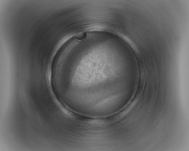 X0000113741418200910071037