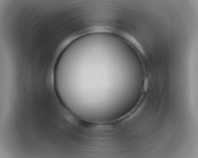 X0000113741419200910071037