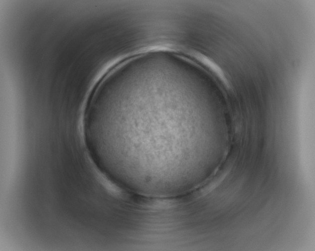 X0000113741423200910071037