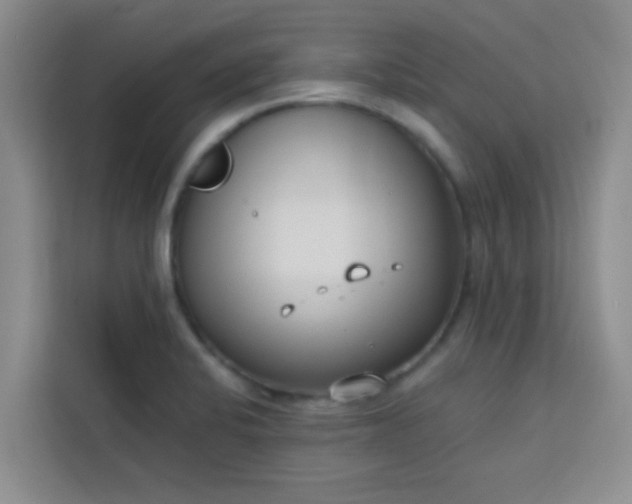 X0000113741424200910071037