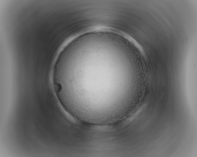 X0000113741429200910071037