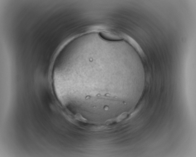 X0000113741435200910071037