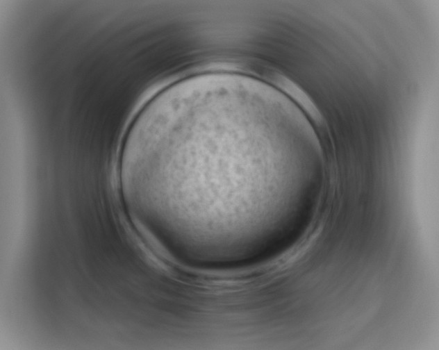 X0000113741436200910071037