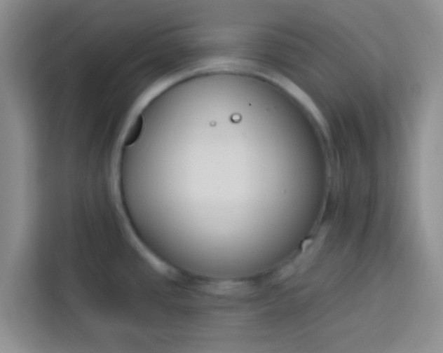 X0000113741437200910071037