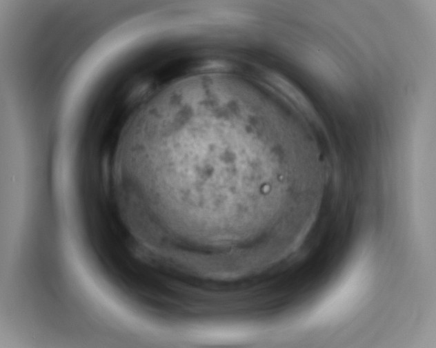 X0000113741439200910071037