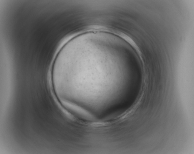 X0000113741440200910071037