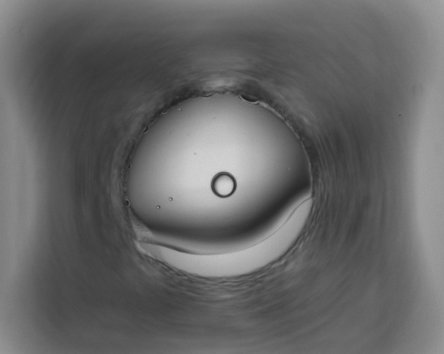 X0000113741441200910071036