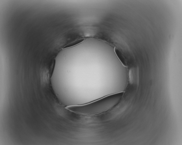 X0000113741443200910071036