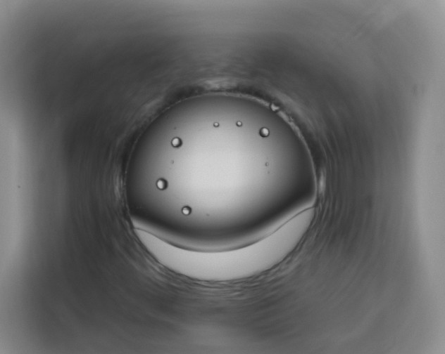 X0000113741444200910071036