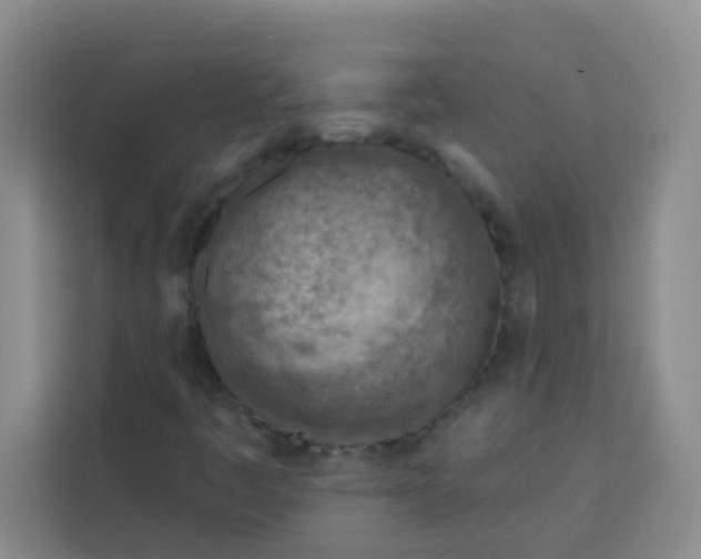 X0000113741445200910071036