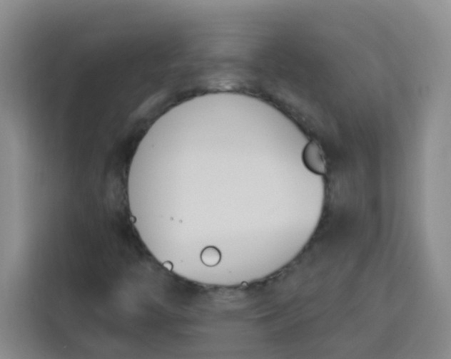 X0000113741446200910071036