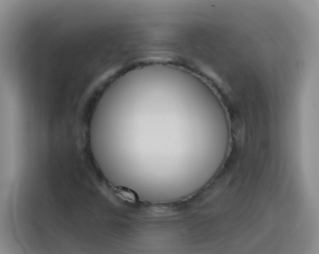 X0000113741448200910071036