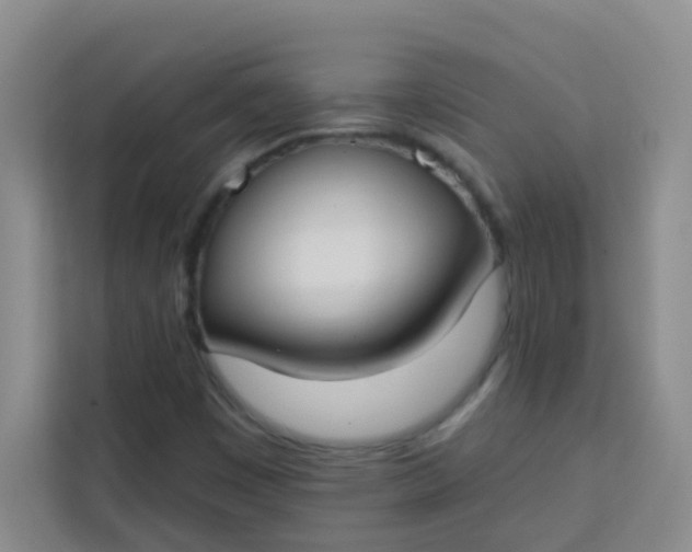 X0000113741449200910071036