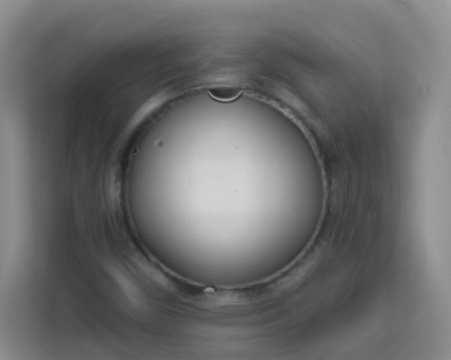 X0000113741450200910071036