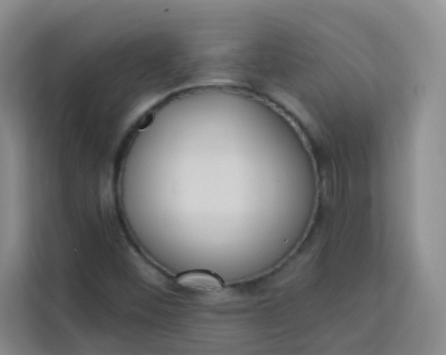 X0000113741452200910071036