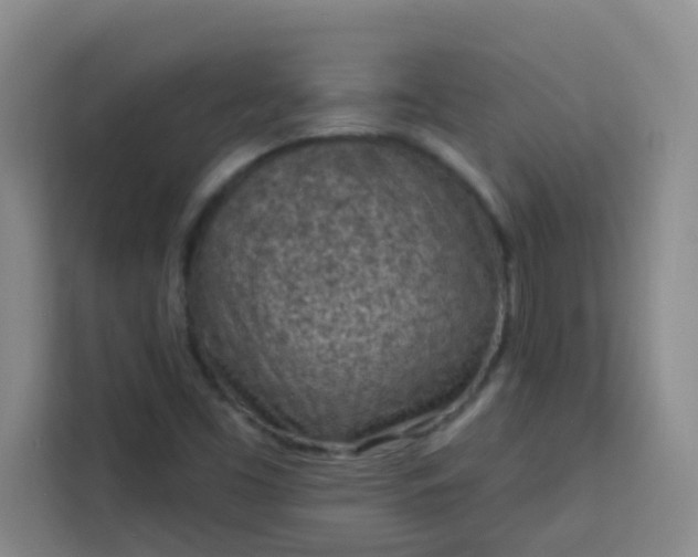 X0000113741453200910071036