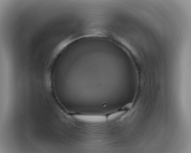 X0000113741455200910071036