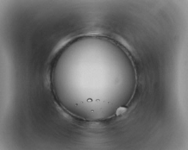 X0000113741456200910071036