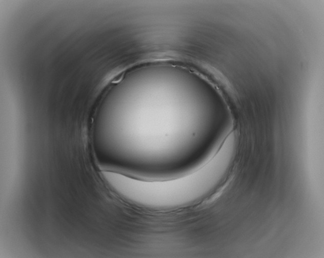 X0000113741457200910071036