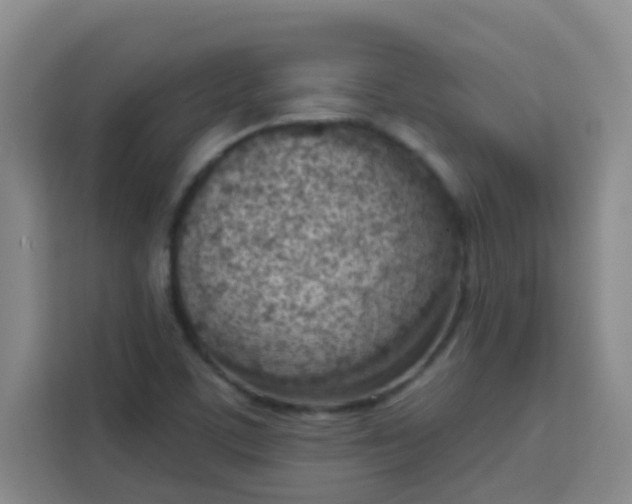 X0000113741459200910071036