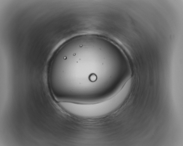 X0000113741460200910071036