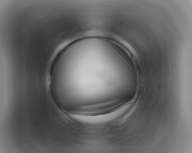 X0000113741461200910071036