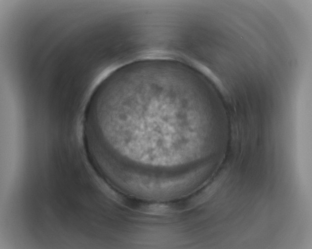 X0000113741463200910071036